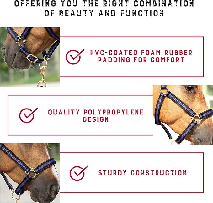 Weaver Equine Breakaway Horse Halter, Comfort Foam Padding, Adjustable Chin &amp; Throat Snap Halters for Horses, Equine Tack,Average Size
