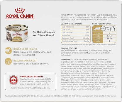 Royal Canin Maine Coon Adult Breed Specific Cat Food Thin Slices in Gravy, 3 oz can (6-Pack)