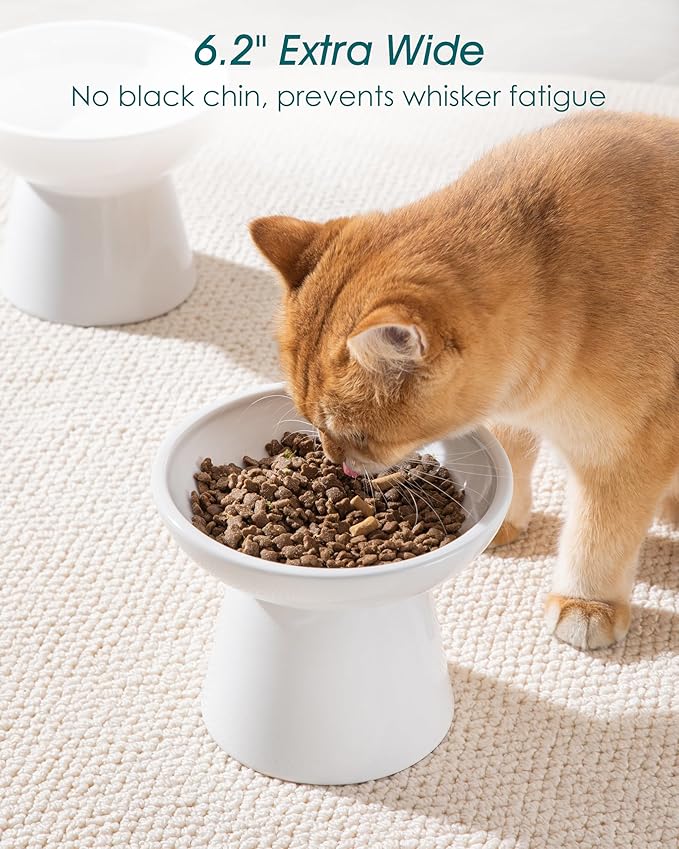 vancasso Ceramic Elevated Cat Bowls 2-Pack - 6.2" Extra Wide Raised Cat Food &amp; Water Dishes, 5.1" Optimal Height Anti-Whisker Fatigue Shallow Bowls for Cats/Kittens/Dogs, Lead &amp; Cadmium Free (White)