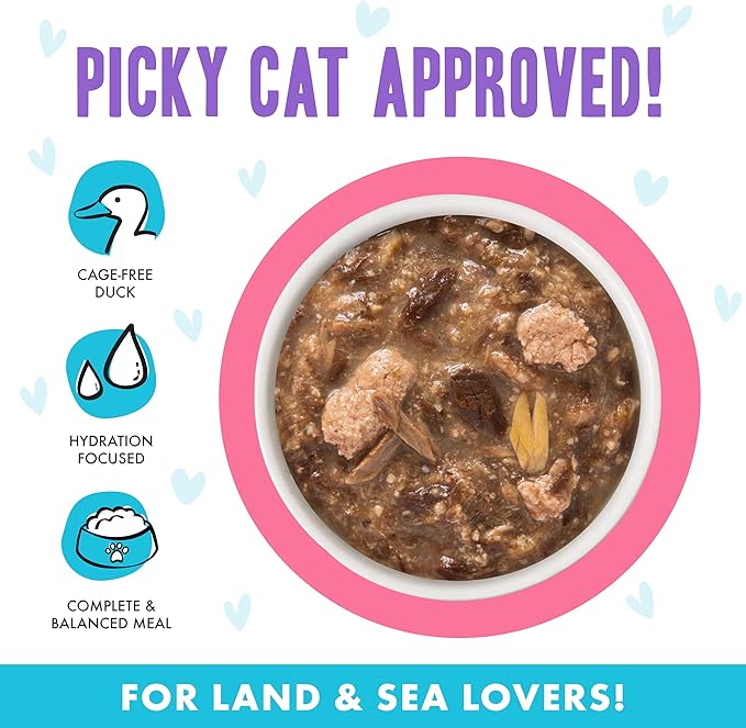Weruva B.F.F. OMG - Best Feline Friend Oh My Gravy!, Date Nite! with Duck &amp; Salmon in Gravy Cat Food, 2.8oz Pouch (Pack of 12)