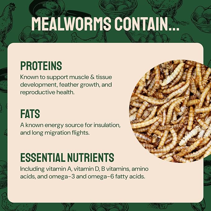 Dried Mealworms - 2 Lb Bag - High Protein Chicken Feed, Mealworms for Birds &amp; Chickens - Meal Worms for Wild Birds &amp; Turtles