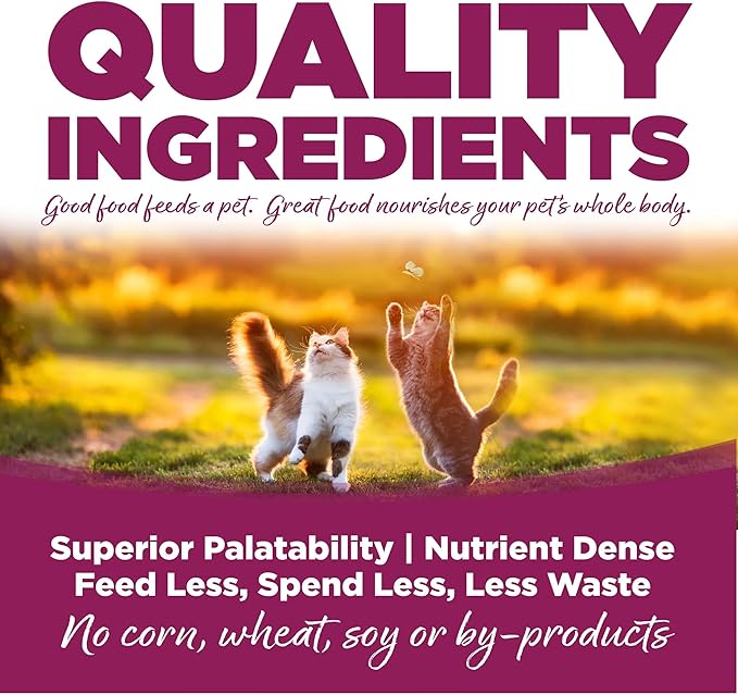 NutriSource Cat &amp; Kitten Food, Chicken and Rice, 4LB