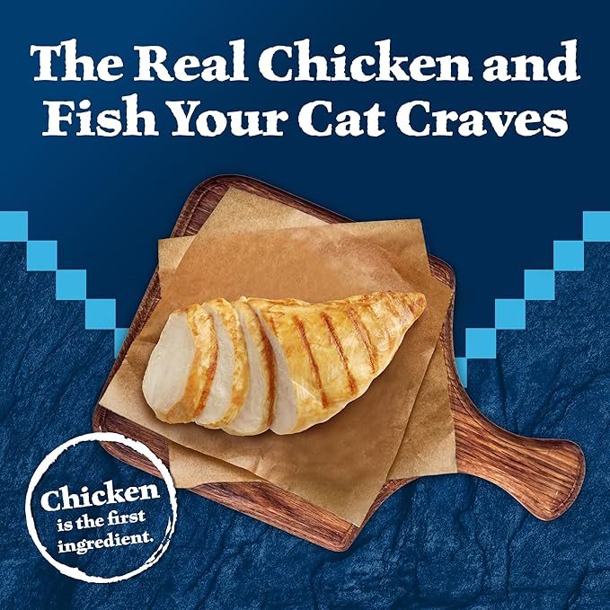 Blue Buffalo Wilderness Wild Delights Minced Wet Cat Food, High-Protein &amp; Grain-Free, Made with Natural Ingredients, Chicken &amp; Trout Recipe in Tasty Gravy, 5.5-oz. Cans (24 Count)