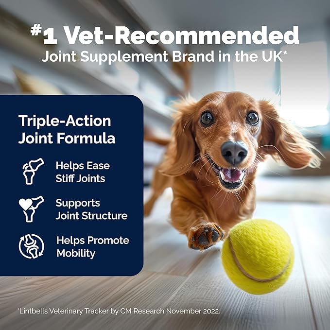 Yumove Hip &amp; Joint Supplement for Dogs with Glucosamine, Hyaluronic Acid, Green Lipped Mussel &amp; Omega 3 Joint Supplement - Regular or Advanced Strength (180ct, Advanced Vet Strength Soft Chews)