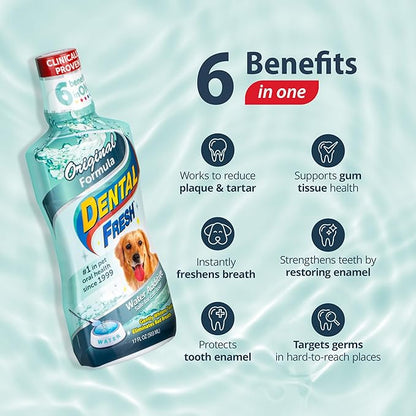 Dental Fresh Water Additive for Dogs, Original Formula, 8oz – Cat &amp; Dog Breath Freshener and Teeth Cleaning for Dental Care for Pets – Add to Water