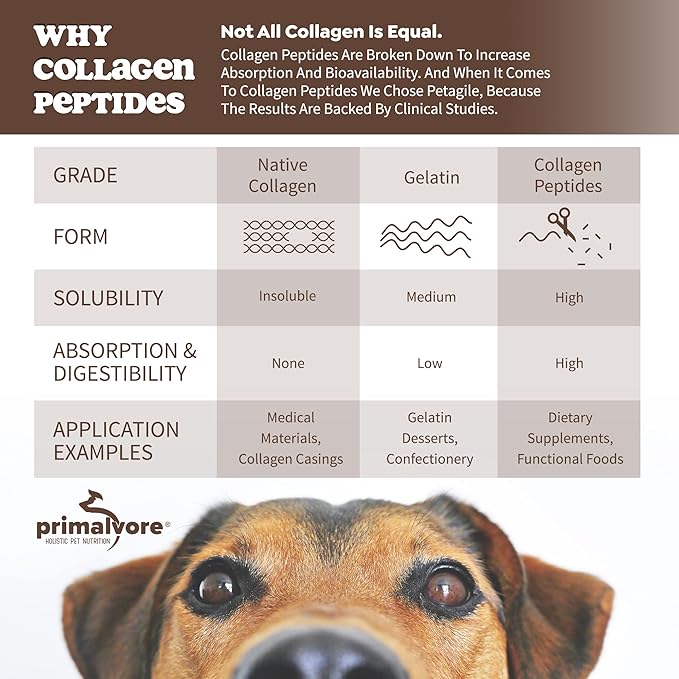 Primalvore Free-Range Bone Broth for Dogs &amp;Cats, Mobility Formula w/Collagen Peptides to Help Support Hip &amp; Joints, Digestion, Skin &amp; Coat and Hydration, Human Grade, Made in USA. Chicken 6 Pack