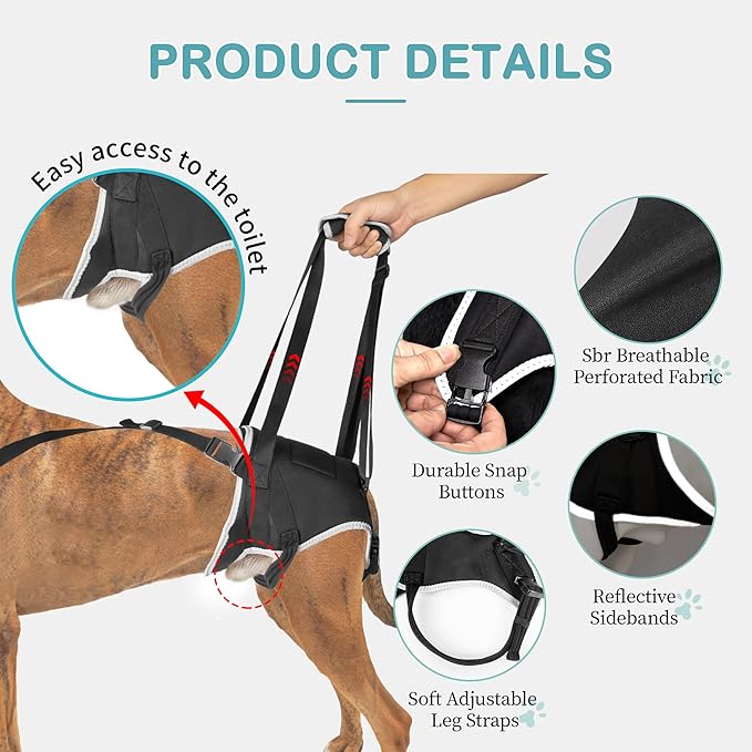 Dog Lift Harness for Small Dogs, Adjustable Rear Leg Support Sling for Hip Dysplasia, Arthritis, Weak Hind Legs, Post-Surgery Recovery, Comfortable &amp; Secure with Sturdy Buckles, S
