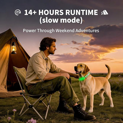 LED Dog Collar with Metal Buckle - USB Rechargeable Glow Collar for Dogs, Waterproof Light Up Dog Collar w/Reflective Strips - Adjustable Night Safety Collars by PetIsay(Green,Large)