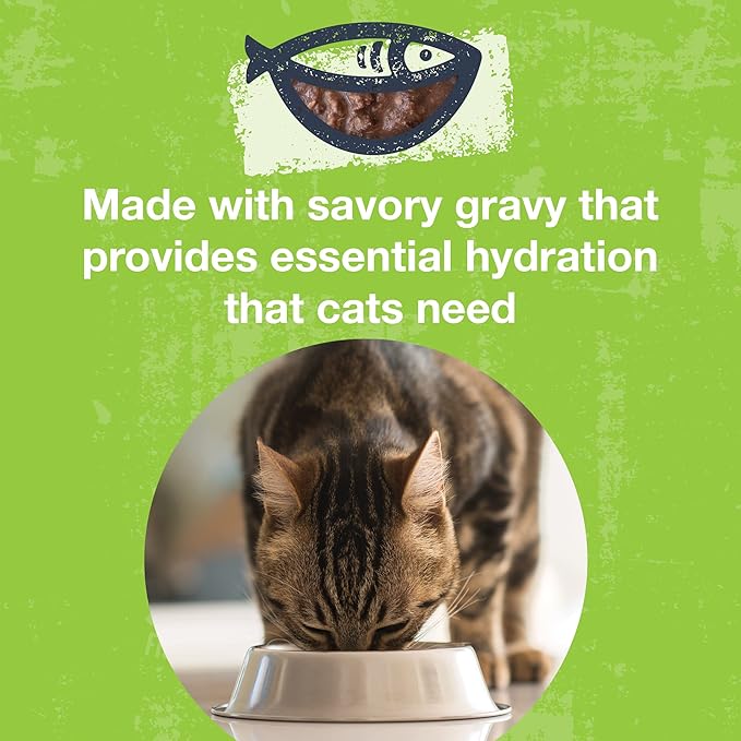 KOHA Poké Bowl Tuna &amp; Duck Entree in Gravy for Cats, 12-Pack of 3oz Pouches