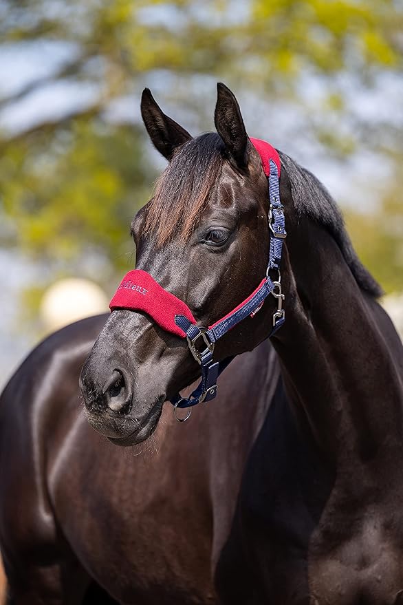 LeMieux Vogue Fleece Headcollar - Halter &amp; Leadrope - Extra Padding, Adjustable at Curb and Poll Strap