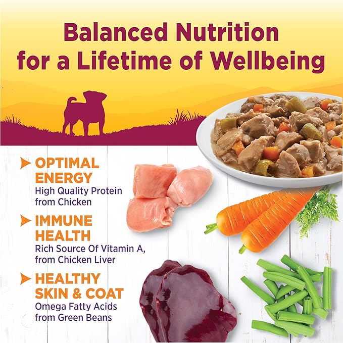 Wellness Petite Entrées Mini-Filets with Roasted Chicken, Beef, Carrots &amp; Green Beans in Gravy, 3-Ounce Cup (Pack of 24)