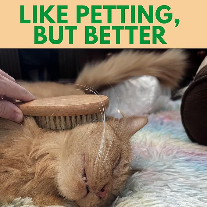 GranNaturals Boar Bristle Soft Cat Brush for Indoor, Outdoor, Short Haired Cats, Kittens, Small Dog, Rabbit, Furry Pets - Gentle Grooming on Sensitive Hair Coat &amp; Tail with Durable Wooden Handle