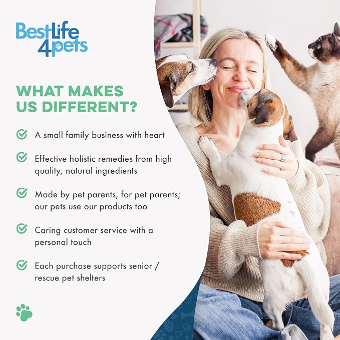 Walk-Easy Dog Hip &amp; Joint Supplement, Effective Dog Pain Relief and Anti-Inflammatory Supplement for Mobility, Canine Joint Pain Relief, ACL Tears, Limping, Knee and Back Aches, Easy to Give 2 Pack