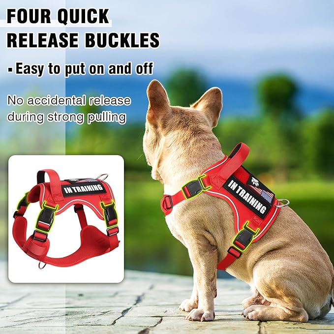 WINSEE Service Dog in Training Harness with 5 PCS Patches, Reflective Tactical Dog Vest Harness, Adjustable Soft Oxford Pet Harness with Easy Control Handle, Hook &amp; Loop Panels for Walking Hiking