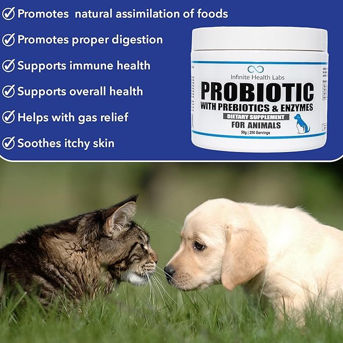 Probiotics for Dogs and Cats - Vet Formulated Made in USA Pet Prebiotic &amp; Enzyme Powder for Digestive, Gut &amp; Immune Health - 200 Servings (50 g)