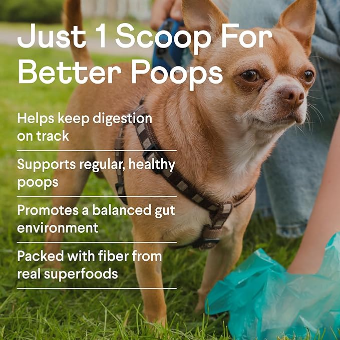Finn Pumpkin Plus: Daily Digestive Support &amp; Fiber-Rich Topper for Dogs | Promotes Regularity &amp; Gut Health with Superfoods