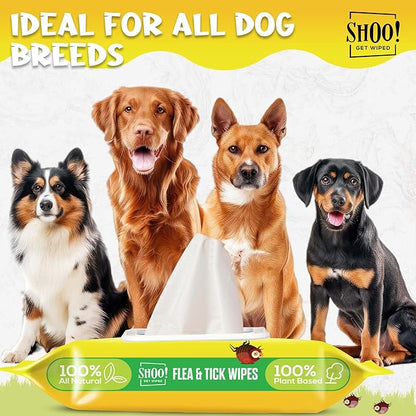 Shoo! Flea &amp; Tick Wipes for Dogs | Convenient, Easy On-The-Go Protection | Plant Based, Natural Oils, Chemical Free | Repels &amp; Prevents | 50 XL Wipes | (Citrus Burst)
