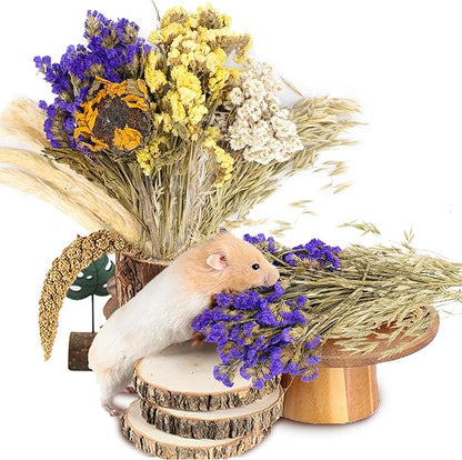 Natural Ear of Grain Flower&amp;Herb Bedding Mate Habitat Decor, Adding Fun Hamster Accessories for Hamsters Gerbils Lemming