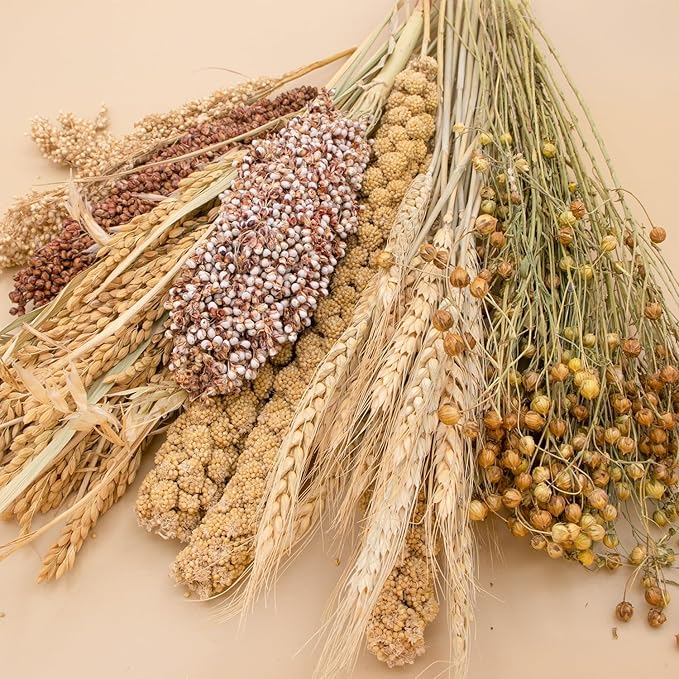 Natural Ear of Grain Flower&amp;Herb Bedding Mate Habitat Decor, Adding Fun Hamster Accessories for Hamsters Gerbils Lemming