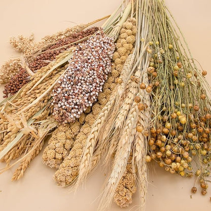 Natural Ear of Grain Flower&amp;Herb Bedding Mate Habitat Decor, Adding Fun Hamster Accessories for Hamsters Gerbils Lemming