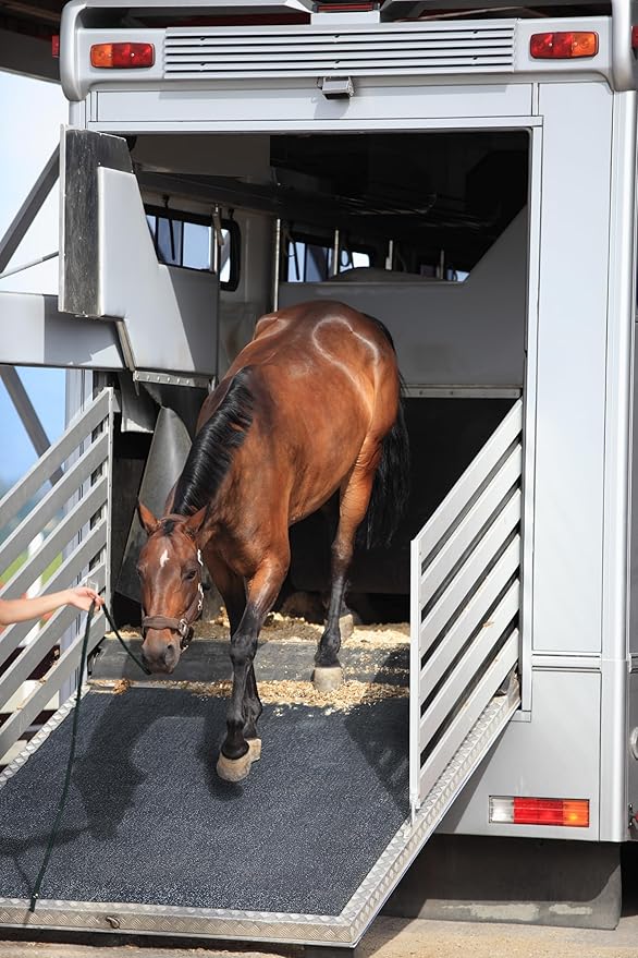 Heavy Duty Horse Stall Mats (20 Pack) - Stable Mats, Durable 3/4 in. Thick Rubber Flooring - Solid Black - 3.5&