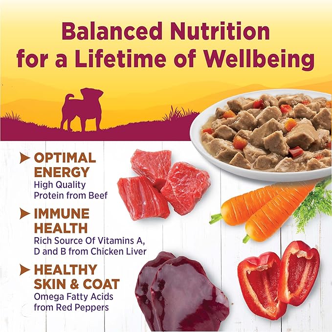 Wellness Petite Entrees Mini Fillets Grain Free Natural Wet Small Breed Dog Food, Roasted Beef, Carrots &amp; Red Peppers, 3-Ounce Cup (Pack of 24)