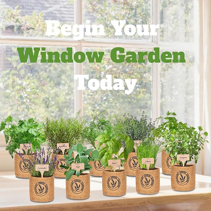 10 Indoor Herb Garden Kit- Burlap Pots, Organic Seeds, Herb Garden Planter Indoor Kit, Easy Window &amp; Kitchen Herbs Growing Kit, Cilantro, Basil, Sage, Oregano, Parsley, Dill, Chives etc.