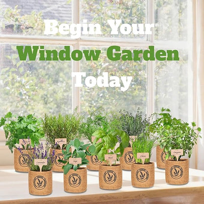10 Indoor Herb Garden Kit- Burlap Pots, Organic Seeds, Herb Garden Planter Indoor Kit, Easy Window &amp; Kitchen Herbs Growing Kit, Cilantro, Basil, Sage, Oregano, Parsley, Dill, Chives etc.