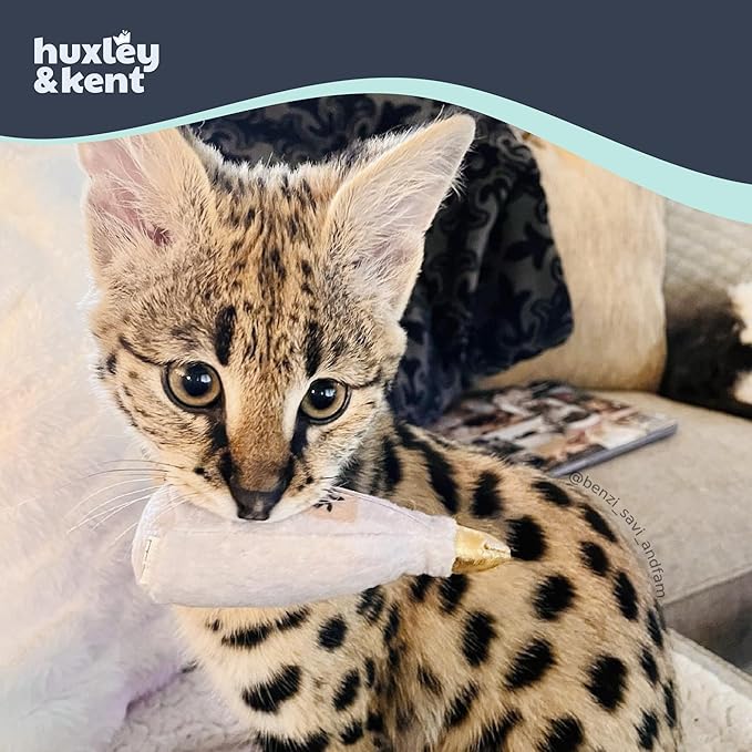 Huxley &amp; Kent Plush Cat Toy - Interactive Catnip Toy for Cats &amp; Kittens - Soft Kitty Toy with Crinkle &amp; Catnip - Fun Indoor Play Toy - Toto&