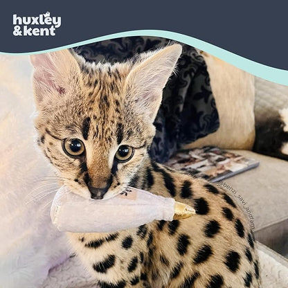 Huxley &amp; Kent Plush Cat Toy - Interactive Catnip Toy for Cats &amp; Kittens - Soft Kitty Toy with Crinkle &amp; Catnip - Fun Indoor Play Toy - Toto&