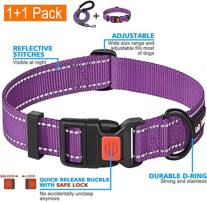 Heavy Duty Dog Leash - Comfortable Padded Handle, 5 ft Long - Dog Leashes for Small Medium Large Dogs (Leash+Collar XS Neck 10.5"-13.5", Purple)