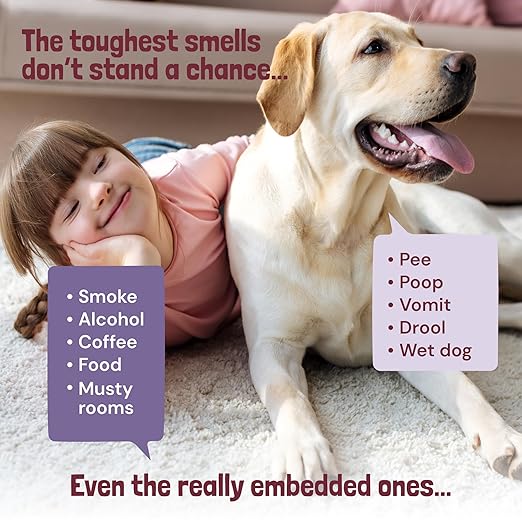 Sunny &amp; Honey Carpet Freshener Powder - 20 Oz Pack, Wildberry Scent - Carpet Deodorizer Powder &amp; Odor Eliminator for Upholstery, Furniture &amp; Rugs, Kid &amp; Pet Safe
