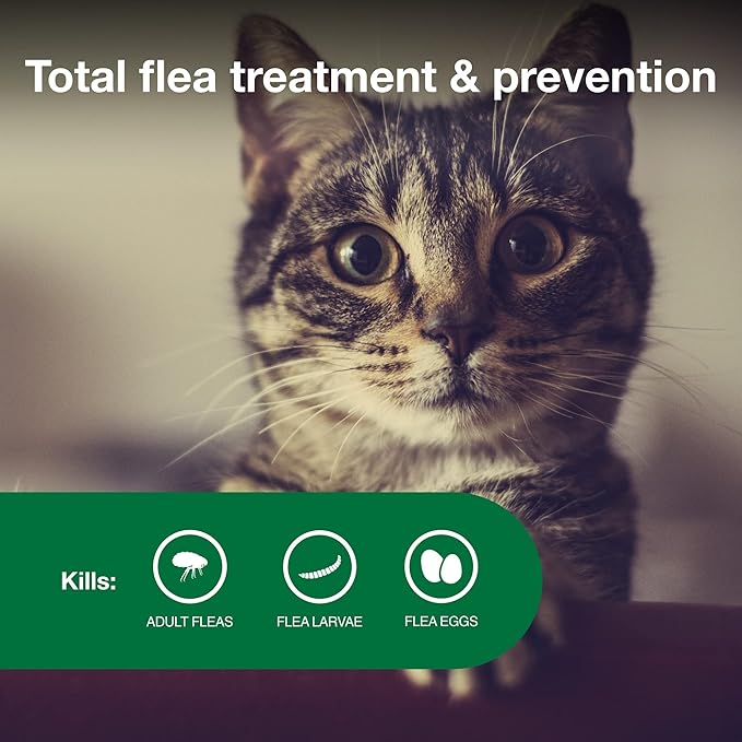 Advantage II Small Cat Vet-Recommended Flea Treatment &amp; Prevention | Cats 5-9 lbs. | 3-Month Supply