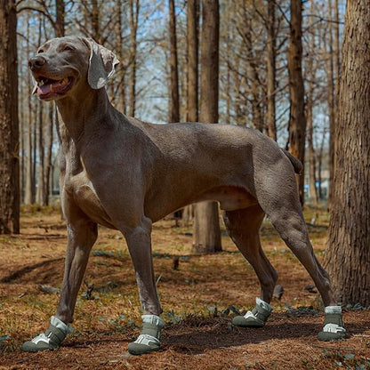 Dog Shoes, Waterproof Dog Boots &amp; Paw Protectors with Anti-Slip Sole, 4pcs/Set Pet Dog Booties, Reflective Dog Shoes for Small Medium Large, Winter Snowy Summer Hot Pavement (Green, 5