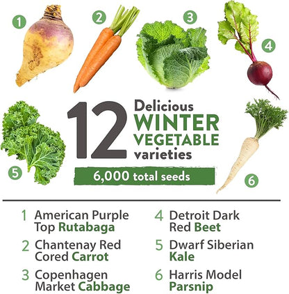 HOME GROWN 12 Winter Vegetable Seeds 𝗡𝗢𝗡-𝗚𝗠𝗢 Heirloom,Fall &amp; Winter Vegetable Seeds for Planting Home Garden: Bean, Beet, Broccoli, Cabbage, Carrot, Cauliflower, Kale,Parsnip,Squash,Chard &amp; More