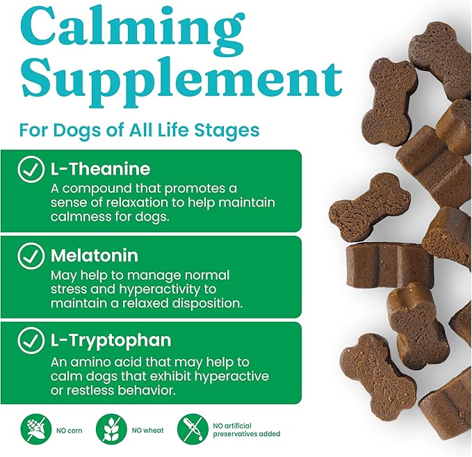 Solid Gold Calming Chews for Dogs - Dog Calming Chews W/Melatonin for Separation, Stress &amp; Hyperactivity Relief - Supports Relaxation for Travel, Fireworks &amp; Storms - All Ages &amp; Sizes - Bacon - 60ct