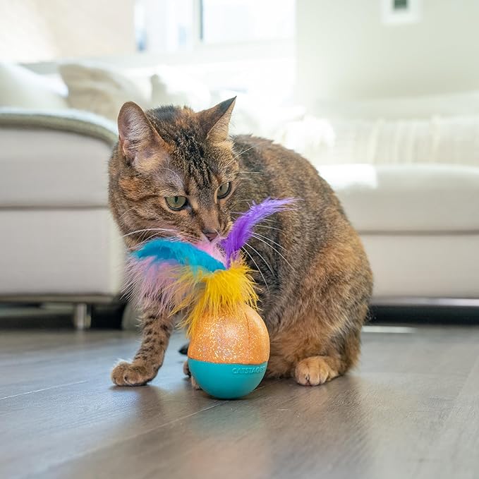 Catstages Whack N&