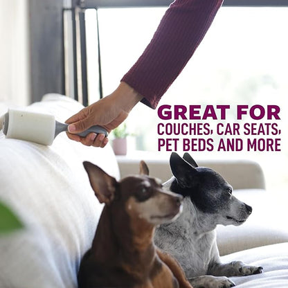 Scotch-Brite Pet Hair Pickup Extra Sticky Lint Roller, Designed for Removing Fur + Fluff on Couches, Clothes, Dog and Cat Beds, &amp; More, 6 Pack, 420 Easy-Tear Adhesive Sheets Total