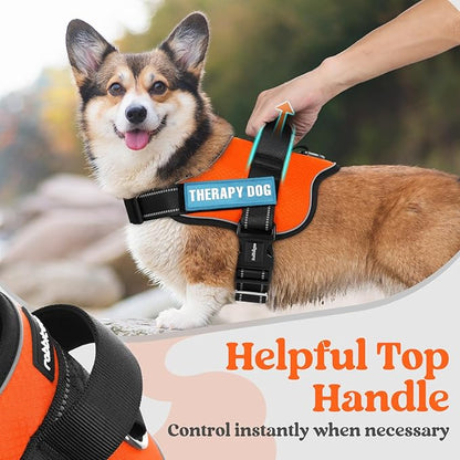 rabbitgoo Dog Harness Medium Sized, Easy On Pet Vest with One Buckle, No Pull Adjustable Service Harness with D-Ring &amp; Handle, Reflective for Safety Walking, Training, Orange, M