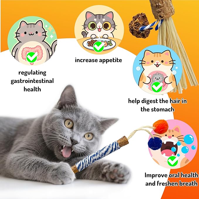 Catnip 6PCS Chew Stick with Wrapped Cotton Rope – Natural Dental Care Cat Toy for Teeth Cleaning &amp; Gum Health, Satisfies Chewing Instincts, Safe &amp; Long-Lasting Kitten Teething Toy