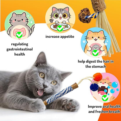 Catnip 6PCS Chew Stick with Wrapped Cotton Rope – Natural Dental Care Cat Toy for Teeth Cleaning &amp; Gum Health, Satisfies Chewing Instincts, Safe &amp; Long-Lasting Kitten Teething Toy