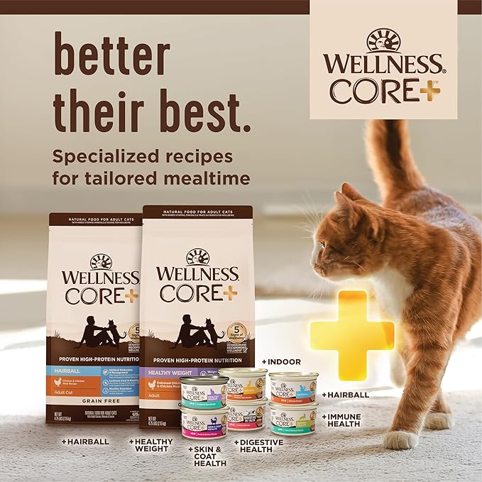 Wellness CORE+ Indoor Pate Adult Wet Cat Food, Natural, Protein-Rich, Grain Free, 5.5 Ounce, 24 Pack (Chicken &amp; Chicken Liver)