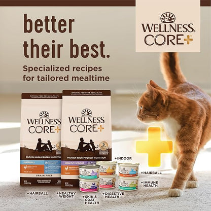 Wellness CORE+ Indoor Pate Adult Wet Cat Food, Natural, Protein-Rich, Grain Free, 2.8 Ounce, 12 Pack (Tuna &amp; Tilapia)