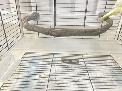 Parrot Perch Stand Bird Cage Stand Pole Natural Wild Grape Stick Grinding Paw Cage Accessories for Parakeet Cockatiels Budgies Conure Lovebirds Platform (U-Shaped)