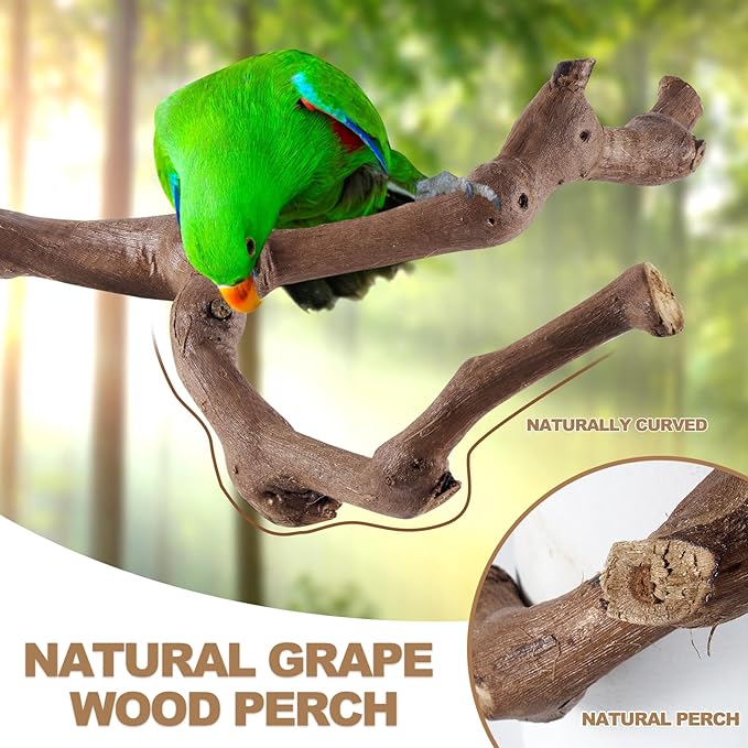 6-Piece Bird Perch Set - Natural Wood Grape Sticks, Paw Grinding Forks, Bird Stand &amp; Toys for Parakeets, Cockatiels, Conure, Budgies