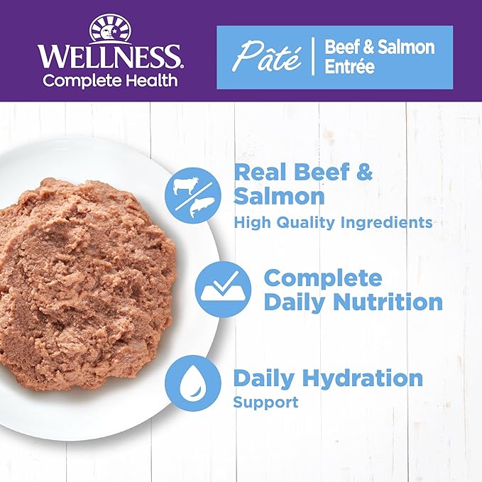 Wellness Complete Health Pate Adult Wet Cat Food, Natural, Protein-Rich, Grain Free, 3 Ounce, 24 Pack, (Beef &amp; Salmon)