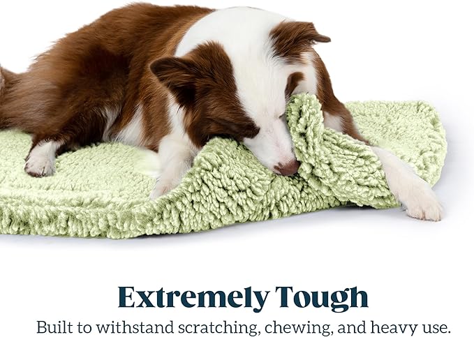 Stoutwool Indestructible Dog Bed - Fluffy Chew Proof Dog Crate Pad - Tough Kennel Pad for Aggressive Chewers - Washable, Ideal for Large Breeds &amp; Fits 42-Inch Crate - 41"x27", Gleam