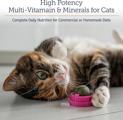 Rx Vitamins Essentials for Cats - Daily Immune Support and Overall Health - Featuring Taurine, Vitamin B12, &amp; Milk Thistle - Cat Multivitamin and Multimineral Powder with Spirulina and Vitamin B - 4oz