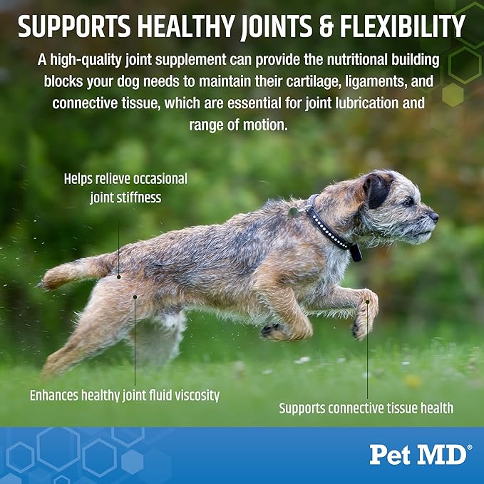 Pet MD Glucosamine for Dogs | Dog Joint Supplement with Glucosamine, Chondroitin &amp; MSM - Inflammatory Pain Relief Chews for Hip &amp; Joints - Bacon Flavored - Includes Yucca &amp; Turmeric - 120 Ct