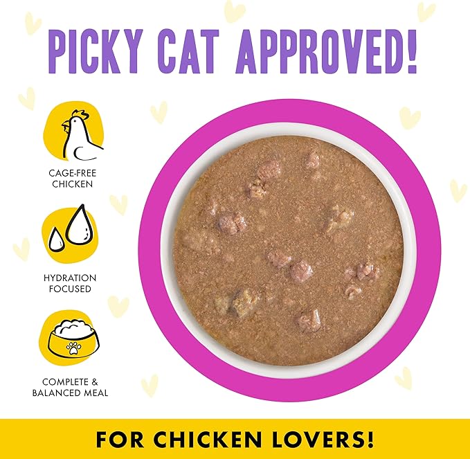 Weruva B.F.F. OMG - Best Feline Friend Oh My Gravy!, Chicken &amp; Duck Dream Team with Chicken &amp; Duck in Gravy, 2.8oz Can (Pack of 12)